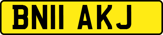 BN11AKJ