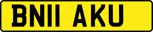 BN11AKU