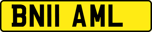 BN11AML
