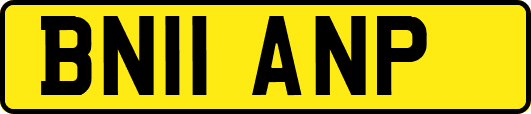 BN11ANP