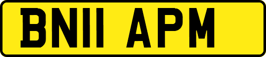 BN11APM