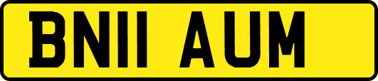 BN11AUM