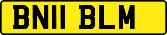 BN11BLM