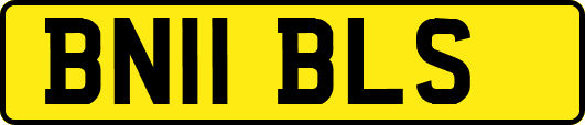 BN11BLS