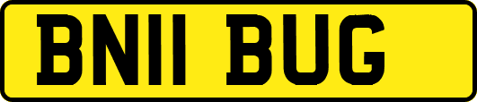BN11BUG