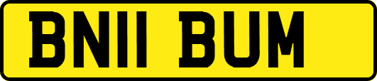 BN11BUM