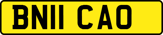 BN11CAO