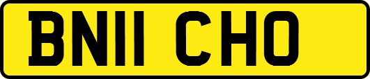 BN11CHO