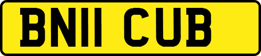 BN11CUB