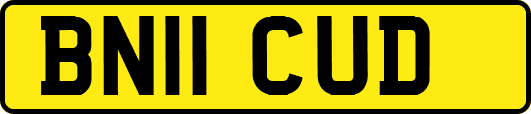 BN11CUD