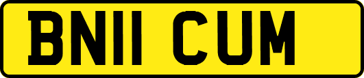 BN11CUM