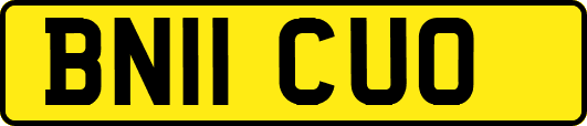 BN11CUO