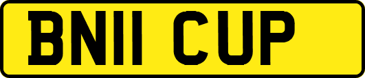 BN11CUP