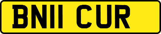 BN11CUR