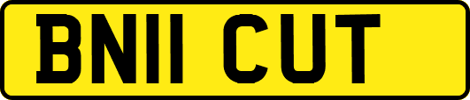 BN11CUT