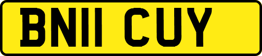 BN11CUY