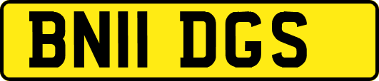 BN11DGS