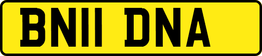 BN11DNA