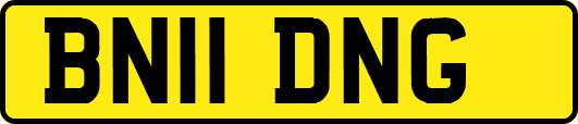 BN11DNG