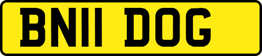 BN11DOG