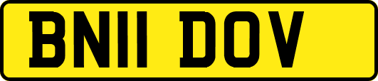 BN11DOV