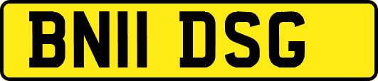 BN11DSG