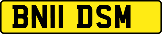 BN11DSM