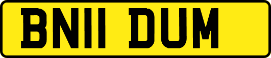 BN11DUM