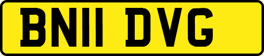 BN11DVG