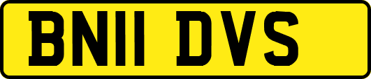 BN11DVS