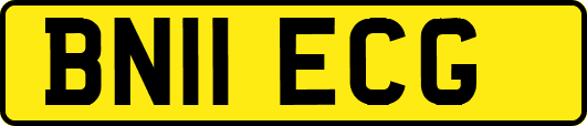 BN11ECG