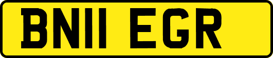 BN11EGR