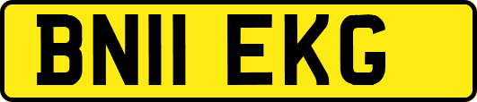 BN11EKG