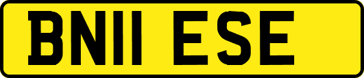 BN11ESE