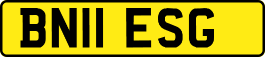 BN11ESG