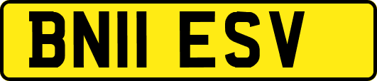BN11ESV
