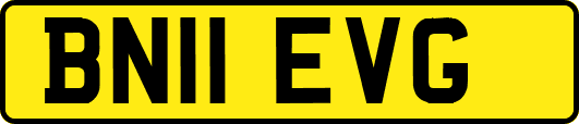 BN11EVG