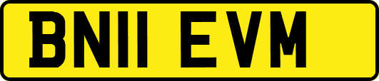 BN11EVM