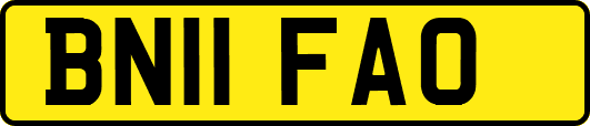 BN11FAO