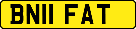 BN11FAT