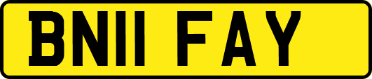 BN11FAY