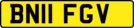 BN11FGV