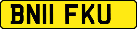 BN11FKU