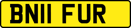 BN11FUR