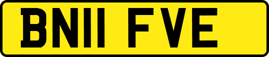 BN11FVE