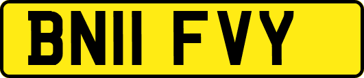 BN11FVY