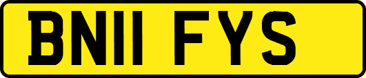 BN11FYS