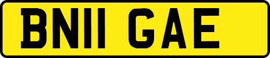 BN11GAE