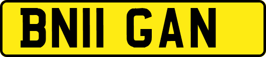 BN11GAN