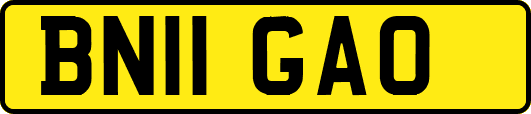 BN11GAO